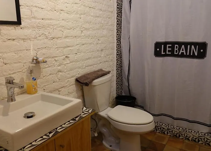 Coyoacan Lofts *