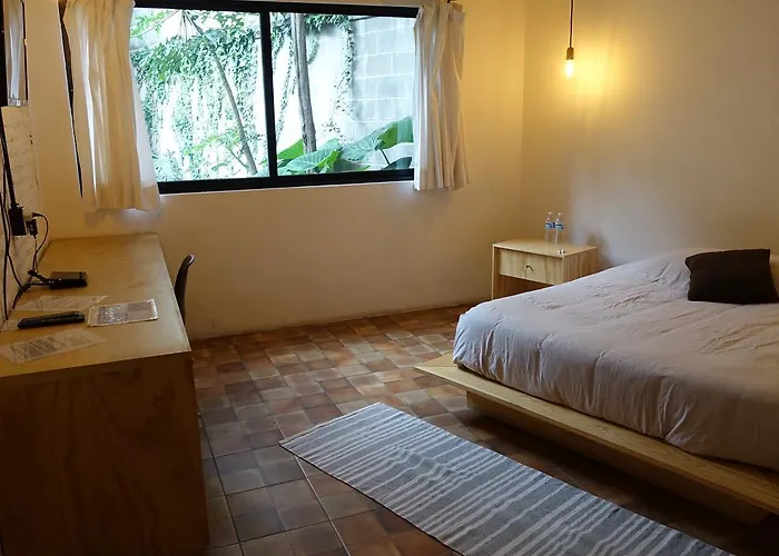 Coyoacan Lofts Apartamento México DF