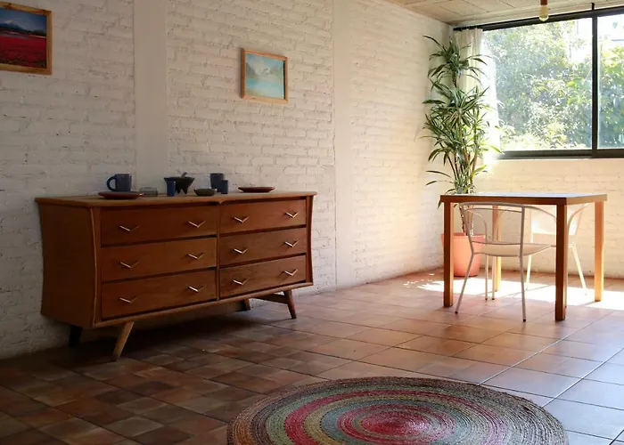 Coyoacan Lofts *