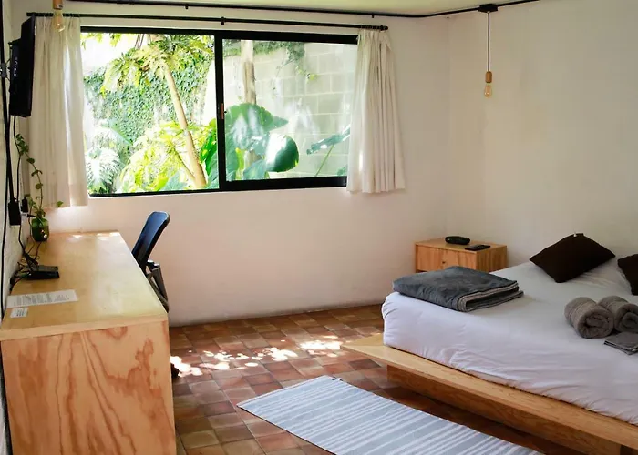 Coyoacan Lofts Apartamento