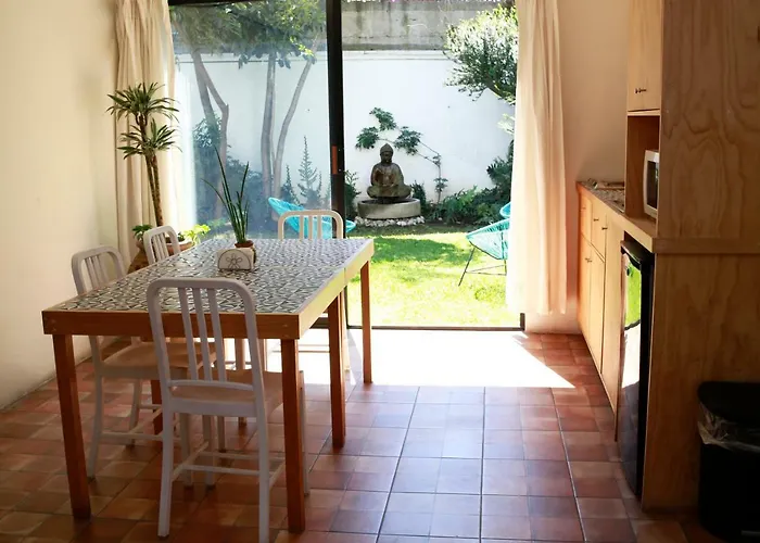 Coyoacan Lofts