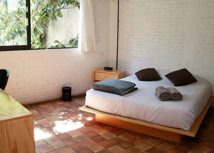 Coyoacan Lofts México DF