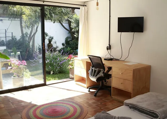 Coyoacan Lofts
